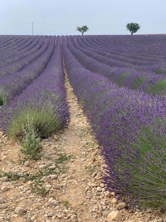 Éguilles Studio Nuitee En Provence 2 المظهر الخارجي الصورة